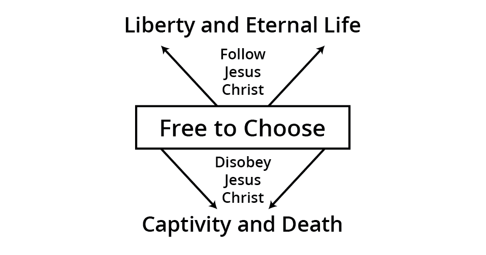 2 Nephi 2:26–30: Free to Choose How to Choose a High-Quality Selenium Supplement