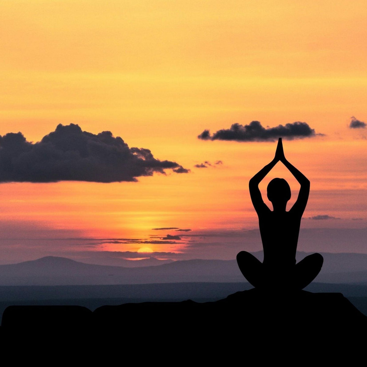 Essential Yoga Gear for Beginners A Comprehensive Shopping Guide