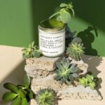 Top Candle Brands You Need to Know for Your Home Decor